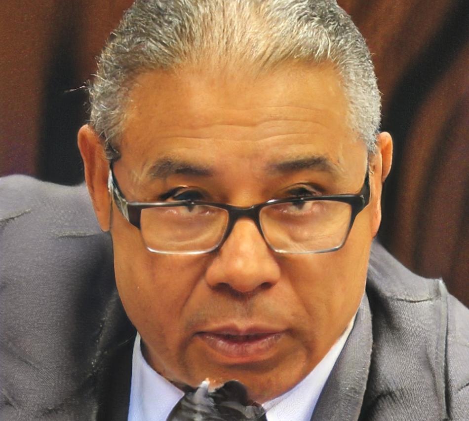 Carlos Mendes, Consultor Empresarial